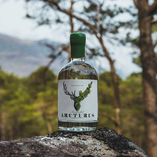 Arcturus Gin - Scots Pine Edition 70cl